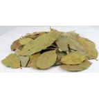 Feuilles de Laurier, tout Feuilles de Laurier, tout