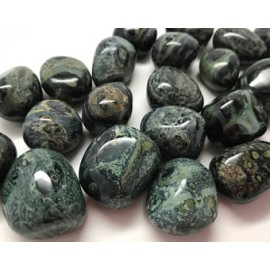 Kambaba Jasper, Tumbled Kambaba Jasper, Tumbled