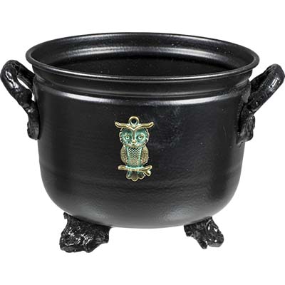 Chaudron de Spirit de hibou Chaudron de Spirit de hibou