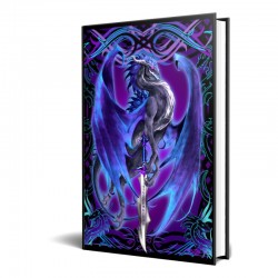 Storm Blade Dragon Journal