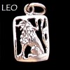 Zodiac Charm, Sterling - Pick your sign! Zodiac Charm, Sterling - Pick your sign!
