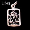 Zodiac Charm, Sterling - Pick your sign! Zodiac Charm, Sterling - Pick your sign!