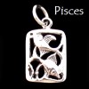 Zodiac Charm, Sterling - Pick your sign! Zodiac Charm, Sterling - Pick your sign!