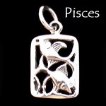 Zodiac Charm, Sterling - Pick your sign!
