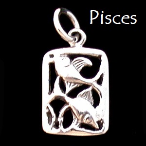 Zodiac Charm, Sterling - Pick your sign! Zodiac Charm, Sterling - Pick your sign!