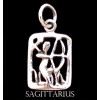 Zodiac Charm, Sterling - Pick your sign! Zodiac Charm, Sterling - Pick your sign!