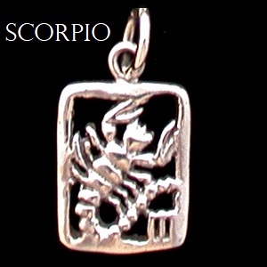 Zodiac Charm, Sterling - Pick your sign! Zodiac Charm, Sterling - Pick your sign!