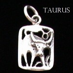 Zodiac Charm, Sterling - Pick your sign!