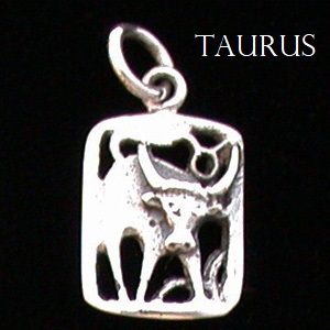 Zodiac Charm, Sterling - Pick your sign! Zodiac Charm, Sterling - Pick your sign!