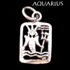 Zodiac Charm, Sterling - Pick your sign! Zodiac Charm, Sterling - Pick your sign!