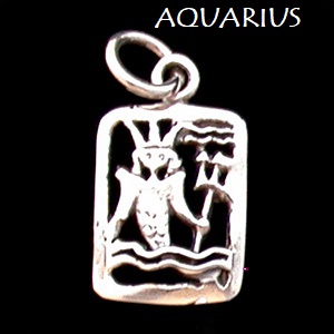 Zodiac Charm, Sterling - Pick your sign! Zodiac Charm, Sterling - Pick your sign!