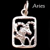 Zodiac Charm, Sterling - Pick your sign! Zodiac Charm, Sterling - Pick your sign!