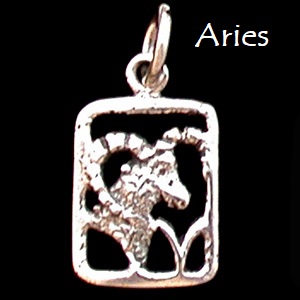 Zodiac Charm, Sterling - Pick your sign! Zodiac Charm, Sterling - Pick your sign!