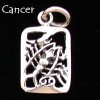 Zodiac Charm, Sterling - Pick your sign! Zodiac Charm, Sterling - Pick your sign!