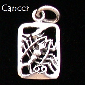 Zodiac Charm, Sterling - Pick your sign! Zodiac Charm, Sterling - Pick your sign!