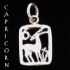 Zodiac Charm, Sterling - Pick your sign! Zodiac Charm, Sterling - Pick your sign!
