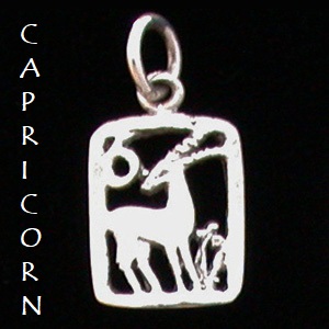 Zodiac Charm, Sterling - Pick your sign! Zodiac Charm, Sterling - Pick your sign!