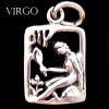 Zodiac Charm, Sterling - Pick your sign! Zodiac Charm, Sterling - Pick your sign!