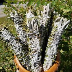 White Sage & Cedar Herb Bundle - Canadian Grown