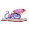 Réservez Wyrm Dragon Statue Réservez Wyrm Dragon Statue