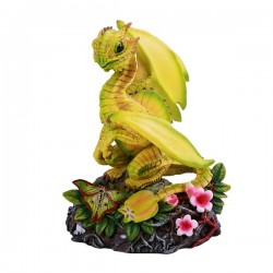 Fruit & Veg Dragon: Starfruit