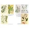Herbes sacrées de Samhain - Ellen Evert Hopman Herbes sacrées de Samhain - Ellen Evert Hopman