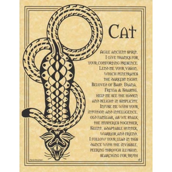 Altar Poster: Cat Prayer