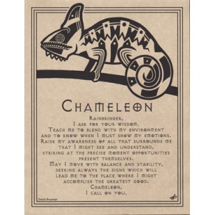 Affiche dautel: Caméléon Affiche dautel: Caméléon