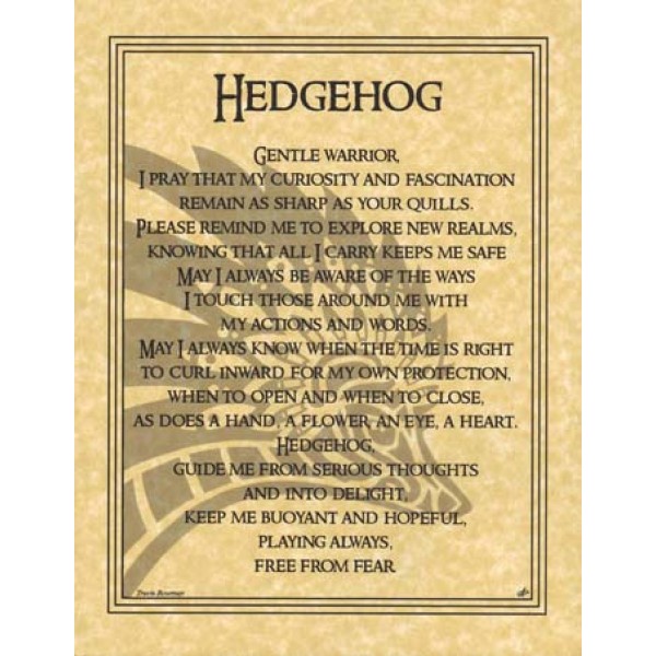 Altar Poster: Hedgehog