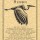 Altar Poster: Heron Prayer
