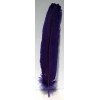 Plumes, diverses couleurs