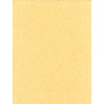 Parchment - 5 Sheets - Light Stock