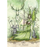 Fairy Wisdom Oracle Deck and Book Set - Nancy Brown