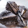 Orthoceras Fossil on Matrix, Specimens Orthoceras Fossil on Matrix, Specimens