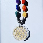 Flower Of Life Chakra Necklace