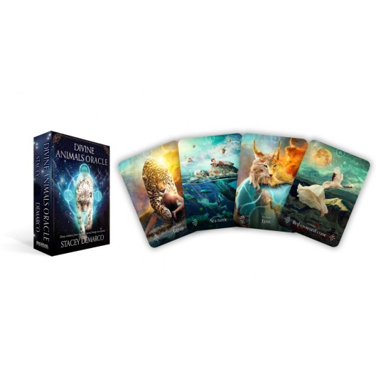 Divine Animals Oracle - Stacey Demarco Divine Animals Oracle - Stacey Demarco
