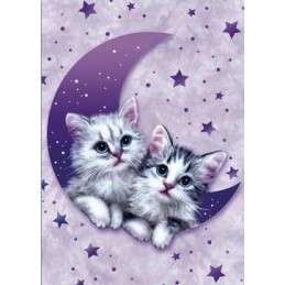 Carte de vœux: Wish Upon A Star Carte de vœux: Wish Upon A Star