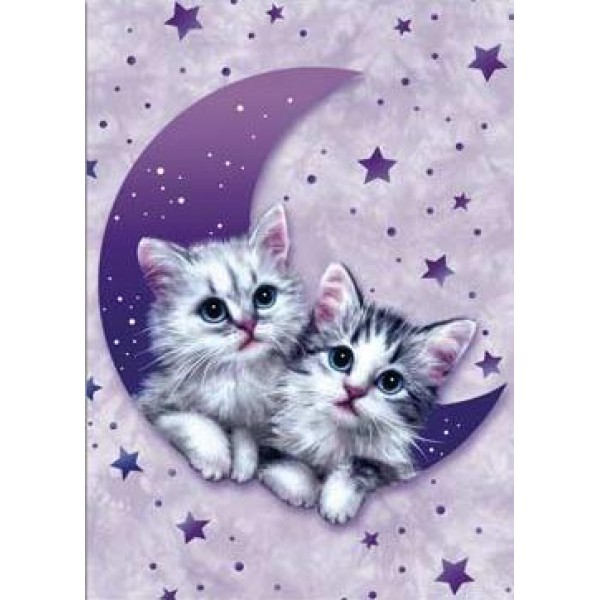 Greeting Card: Wish Upon A Star