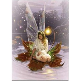 Greeting Card: Fairy Lily Pad Greeting Card: Fairy Lily Pad
