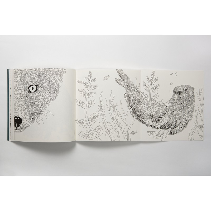 Nordic Wilderness: Un livre de coloriage Nordic Wilderness: Un livre de coloriage