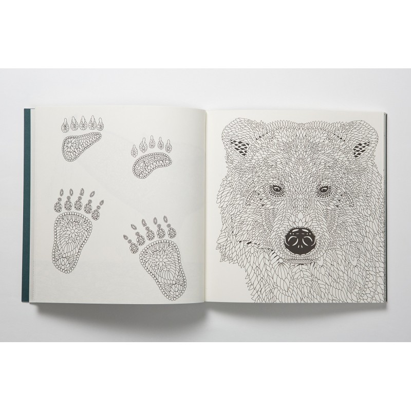Nordic Wilderness: Un livre de coloriage Nordic Wilderness: Un livre de coloriage