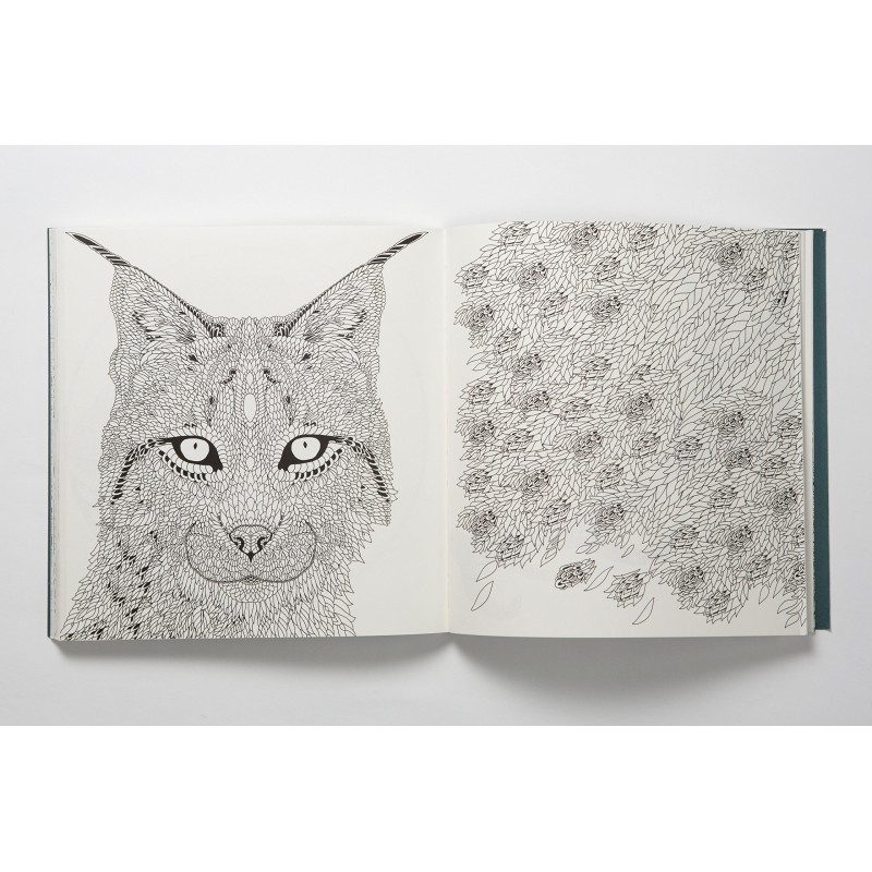 Nordic Wilderness: Un livre de coloriage Nordic Wilderness: Un livre de coloriage