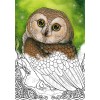 Livre de coloriage animal de l’esprit Livre de coloriage animal de l’esprit