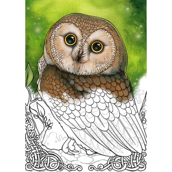 Livre de coloriage animal de l’esprit Livre de coloriage animal de l’esprit