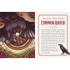 Illustrated Bestiary Book & Cards Illustrated Bestiary Book & Cards