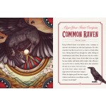 Illustrated Bestiary Book - Cartes