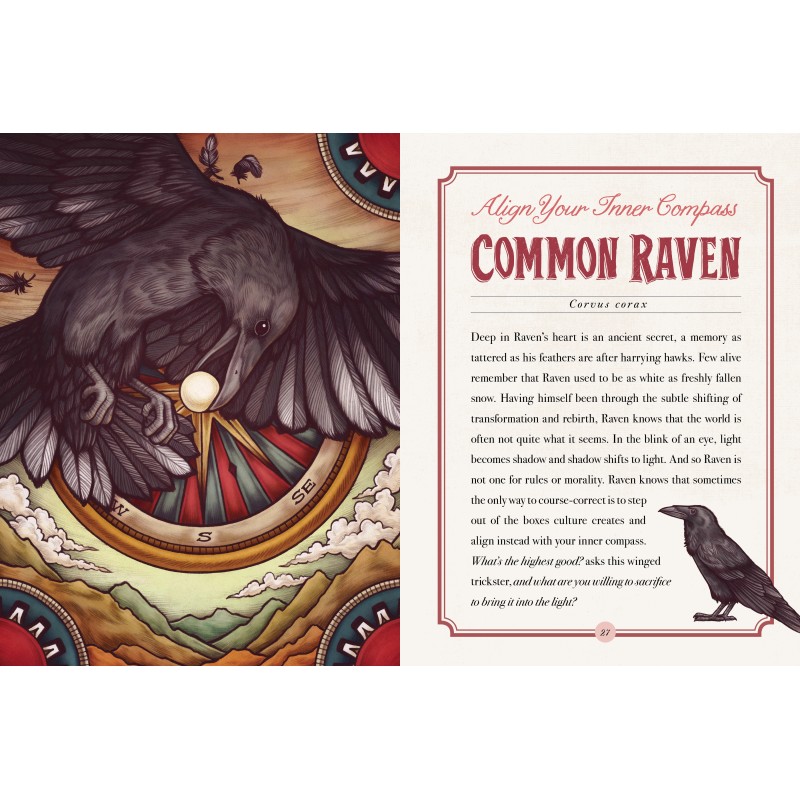 Illustrated Bestiary Book & Cards Illustrated Bestiary Book & Cards