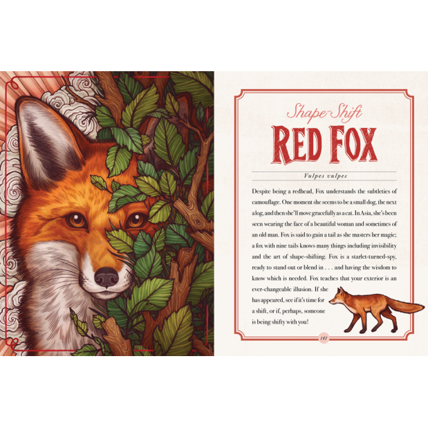 Illustrated Bestiary Book & Cards Illustrated Bestiary Book & Cards