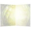 Greeting Card: Not All Who Wander Greeting Card: Not All Who Wander