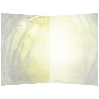 Greeting Card: Not All Who Wander Greeting Card: Not All Who Wander